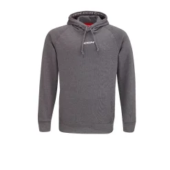 Hoodie Team Pullover SR Grey Hoodies Senior