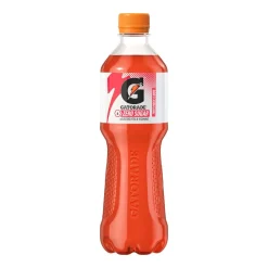 Sale Sport Drink Fruit Punch Zero Sugar Energidryck|Gatorade
