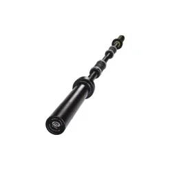 New Skivstång Propeller Bar 180 Master Fitness|Styrketräning