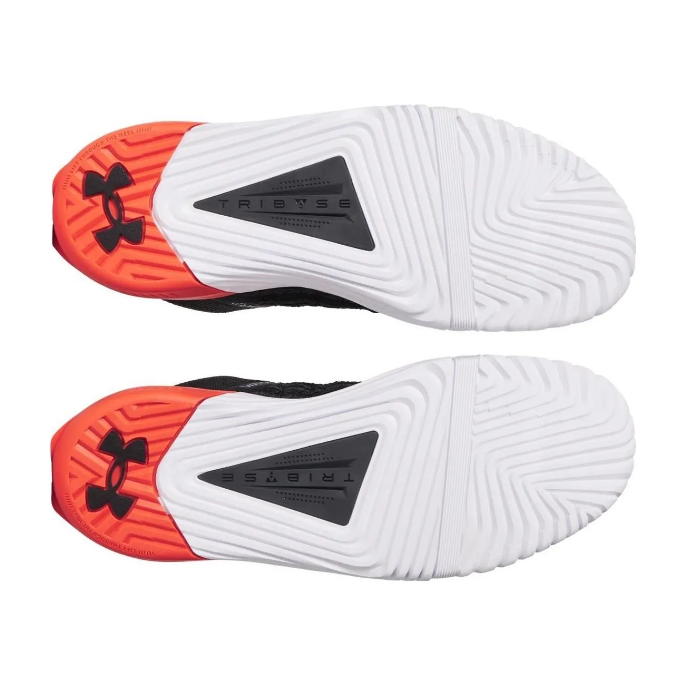 Träningsskor TriBase Reign 6 Anthracite Under Armour|Skor