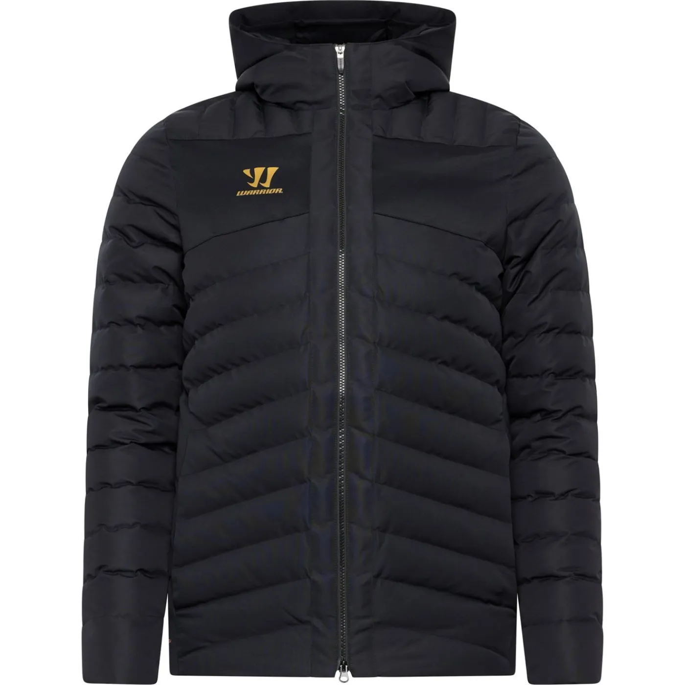 Best Jacka Aurum Sr Jackor Senior|Warrior